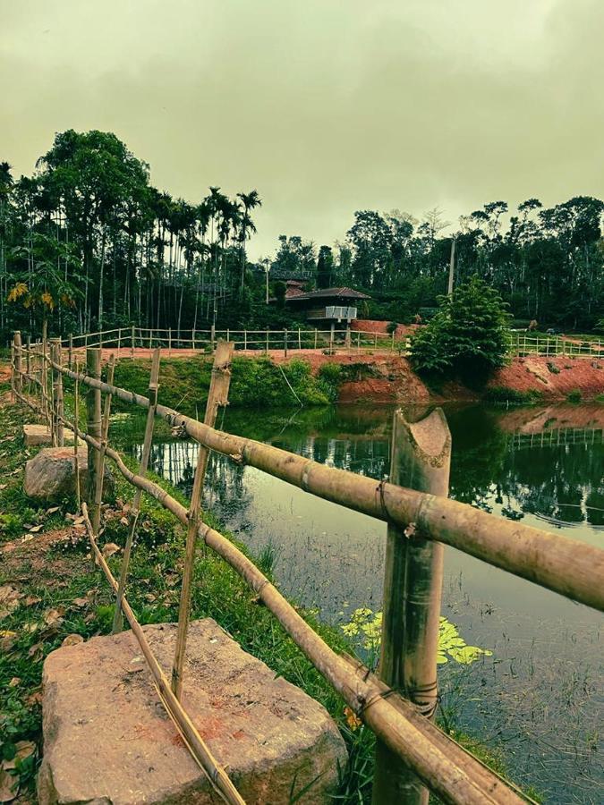 Agastya Lake View Coorg Madikeri Extérieur photo