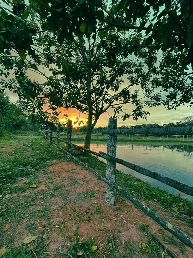 Agastya Lake View Coorg Madikeri Extérieur photo